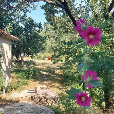 Lassu Minihotel *