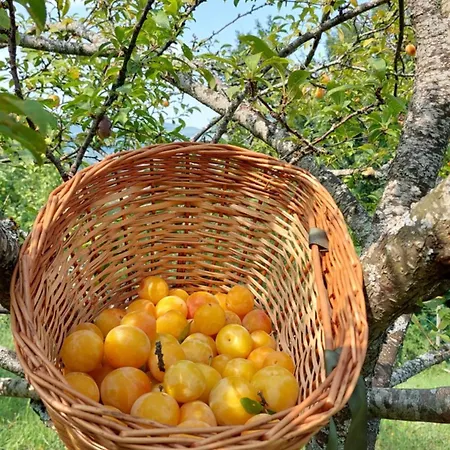 Bed & Breakfast Lassu Minihotel Corvella