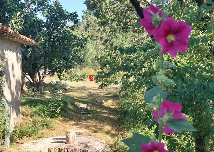 Lassu Minihotel *